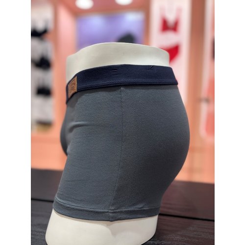 IMAGE7