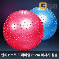 구스짐 안티버스트  65cm 마사지 짐볼 터짐방지기능 맛사지 헬스용품