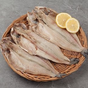 [새담] 국내산 반건조 손질 대구 1미(380-450g내외) x 4팩