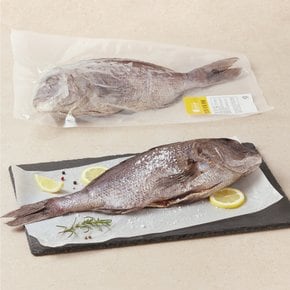 [냉동][국산] 특대 반건조 손질 참돔 (700~850g)