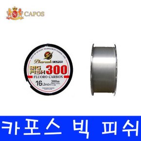 빅피쉬 카본 낚시줄 300M 20LB 원줄 목줄