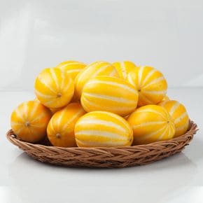 고당도 가정용 성주 참외 1kg 랜덤과[35751054]