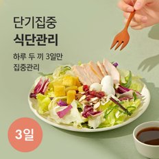 3일 단기집중 식단관리 _ 샐러드 6팩