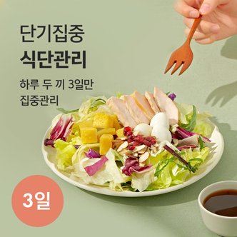 포켓샐러드 3일 단기집중 식단관리 _ 샐러드 6팩