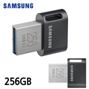 삼성전자 FIT Plus USB 3.1 Flash Drive 256GB_WBF3F89