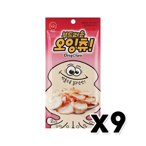 썬푸드 부드러운오잉츄 오징어다리 간편안주 40g x 9개