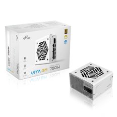 FSP VITA GM 750W 80PLUS GOLD ATX3.1 파워 화이트 (ATX/750W)