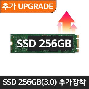  (추가구성) 15ZD90 NVMe 256GB PCIe 3.0 추가