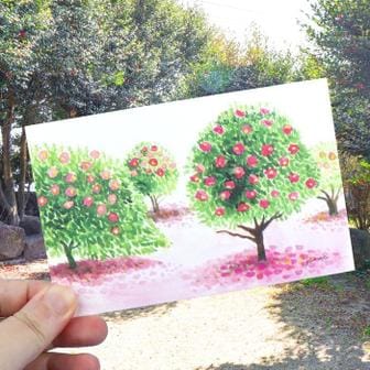 셀러허브 이희정 작가 제주 풍경 수채화 그림 엽서 포스트카드 감성소품 12종 다꾸 인테리 (S12160371)