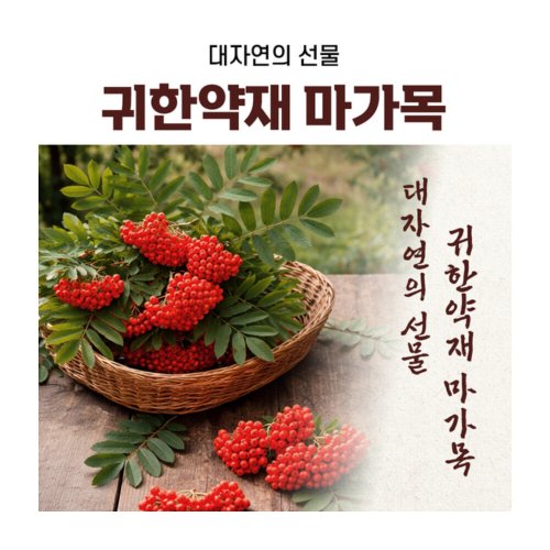 상품이미지5