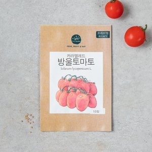 BFA 프리미엄채소-대추방울토마토