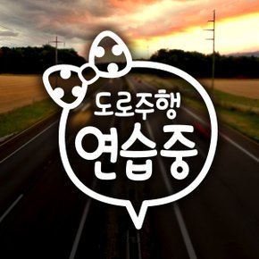 리본 도로주행 연습 / 초보운전 반사스티커 자동차스티커