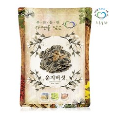 국내산 건조 운지버섯 구름버섯 500g