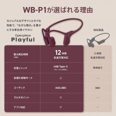 비행사AVIOT WB-P1 무선 이어폰 골전도 러닝 이어폰