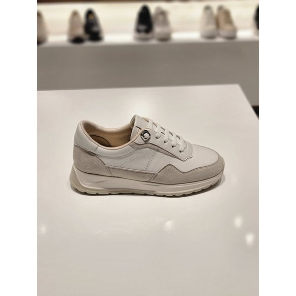 [부산점] 여성 경량 데일리 스니커즈sbflf04190