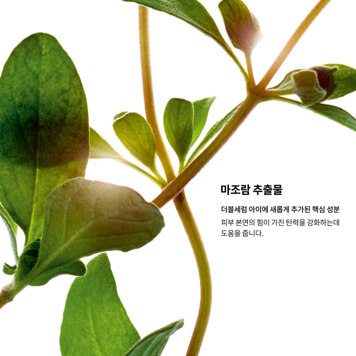 상품이미지7