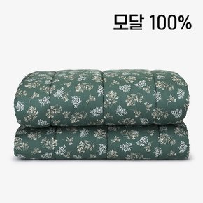 {~10/27일까지 김해점 할인 행사!!}  소프트 모달 차렵이불 - 15 Lace flower : green 슈퍼싱글