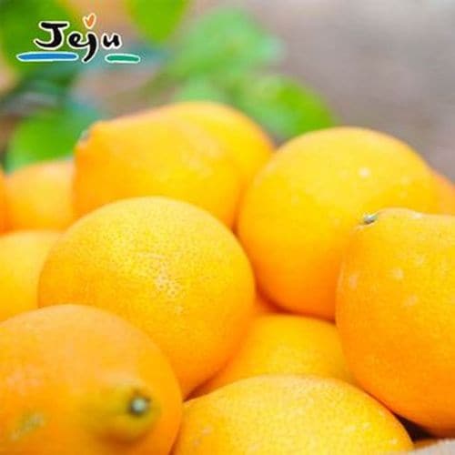 상품 이미지 2