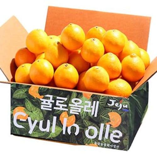 상품 이미지 3