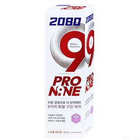 2080 프로나인 스트롱 120g 1개