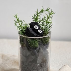 로즈마리 숮정원 테라리운 DIY키트