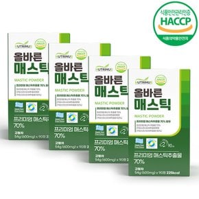 올바른 올바른 매스틱 600mg x 90정 x 4박스