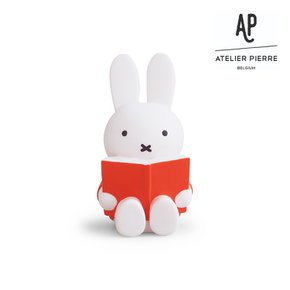 [ATELIER PIERRE] 아뜰리에 피에르 미피 리딩 머니 박스 L 레드