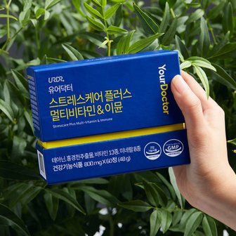  유어닥터 테아닌 250mg 스트레스케어 고함량 멀티비타민 긴장완화 피로개선 식약처인정 1박스