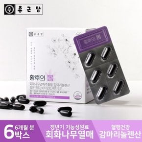 황후의봄 6박스 6개월분