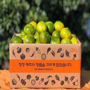 제주 극조생 노지 감귤 2.5kg 중대과 (S52972301)