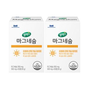 [ETV] 셀렉스 마그네슘 2박스 [500mg x 120정] (60일분)[35938201]