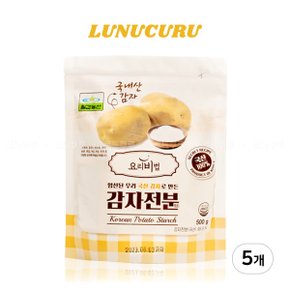 감자전분 500g 5개