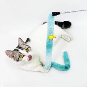 PET 고양이 낚시대 애벌레 막대 사냥 장난감 (S30683417)