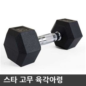 스타 고무육각아령 덤벨 웨이트기구 헬스용품 10kg