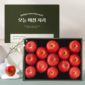 인정식탁 [오늘아침사과] 사과 선물세트 3kg 13과