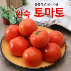 몸에 좋은 영양가득 토마토(쥬스용)5kg