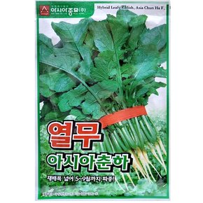 열무씨앗종자 아시아춘하열무(500g)