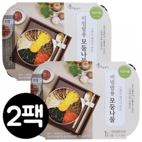 비빔밥용 모둠나물 160g x 2팩