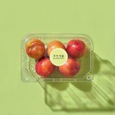 미식생활 빨리 만나는 하우스 자두 300g 팩