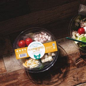 스테디셀러 치킨 샐러드 20% 할인~~!