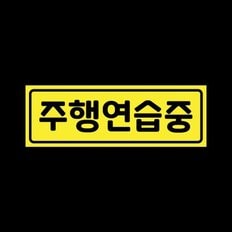 초보운전 탈부착 자석 스티커 레몬 LMCM-011 주행연습중