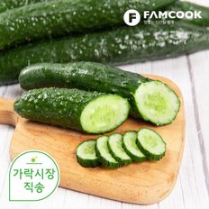 팸쿡 가락시장직송 청오이 1개
