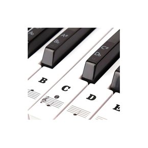 ColorfylCoco 카라필코코 49 61 76 88 건반 대응 피아노실 피아노