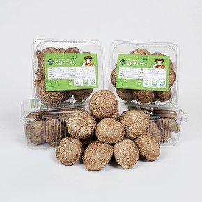 [바로배송][도담] 표고버섯 노블레스 1.2kg(상품) 선물세트