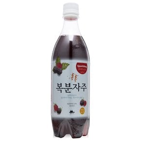 참주가 스파클링 톡톡복분자주 7도 750ml 복분자주