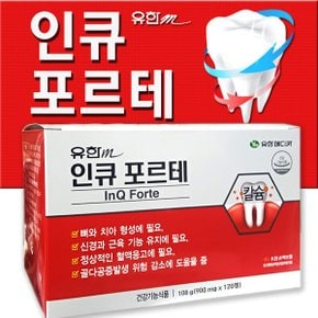 인큐포르테120정 2개월분 인사 치아칼슘