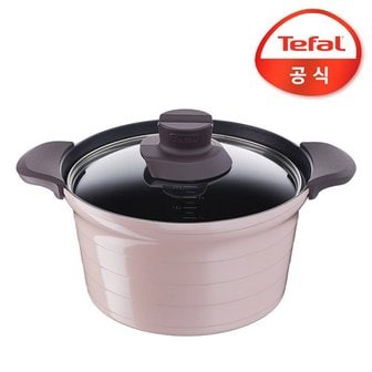 테팔 트레져 IH 인덕션 국냄비 24cm