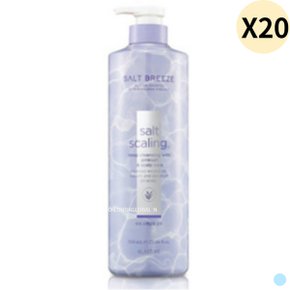 엘라스틴 핑크솔트 스케일링 대용량 샴푸 700ml X20