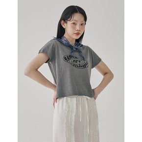 Vintage Cropped T-Shirt_MB4ST80