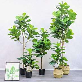 떡갈잎 고무나무 조화 180cm